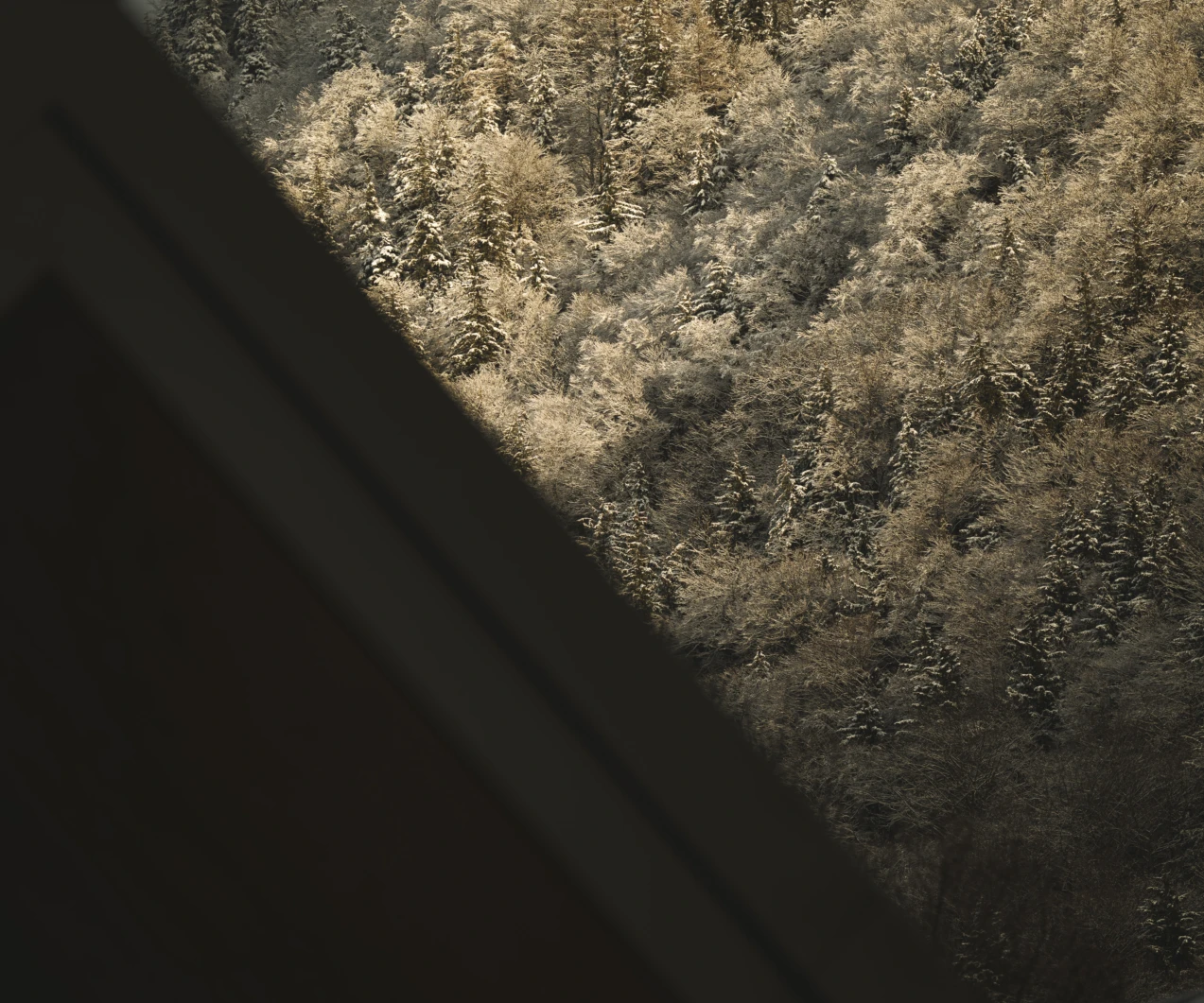 Agrad chalets aschau andreas jacob 1022