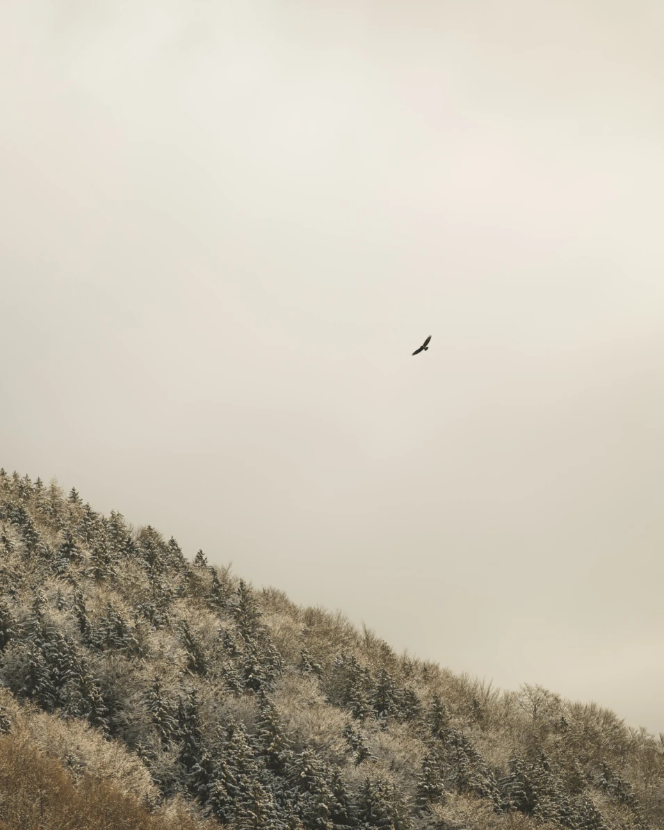 Agrad chalets aschau andreas jacob 1021