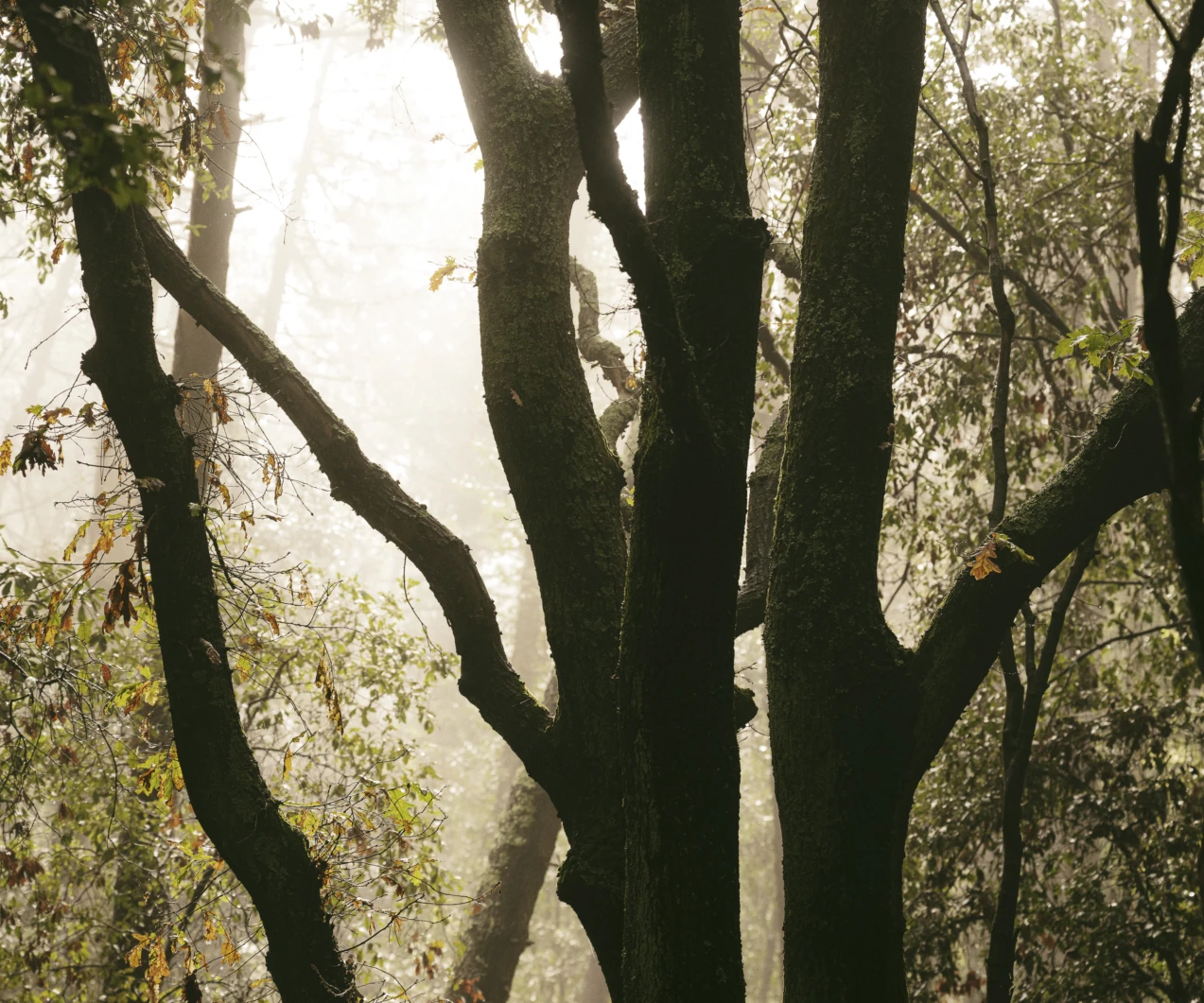 Fazua bike tuscany andreas jacob 1011