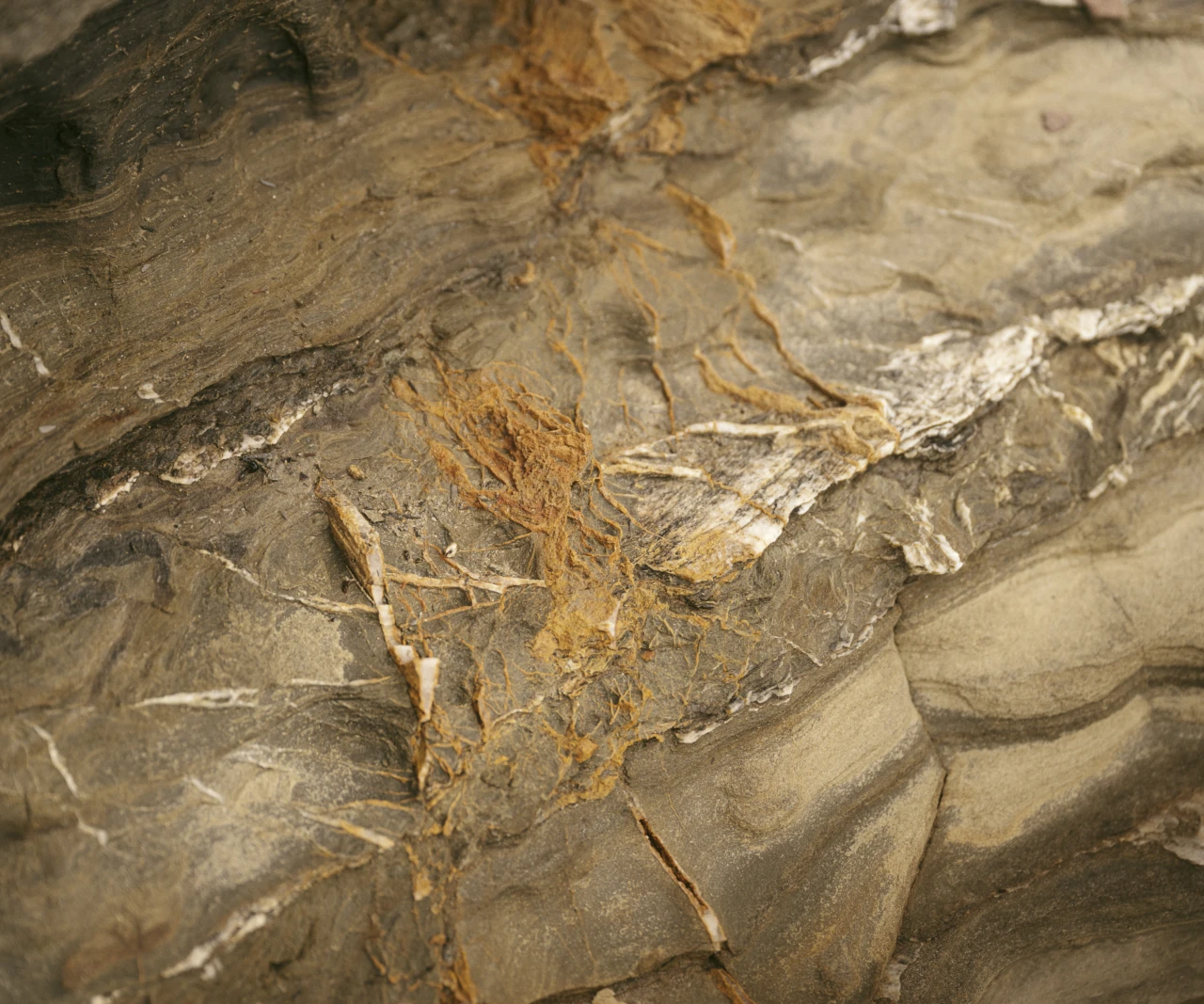 Fazua bike tuscany andreas jacob 1006