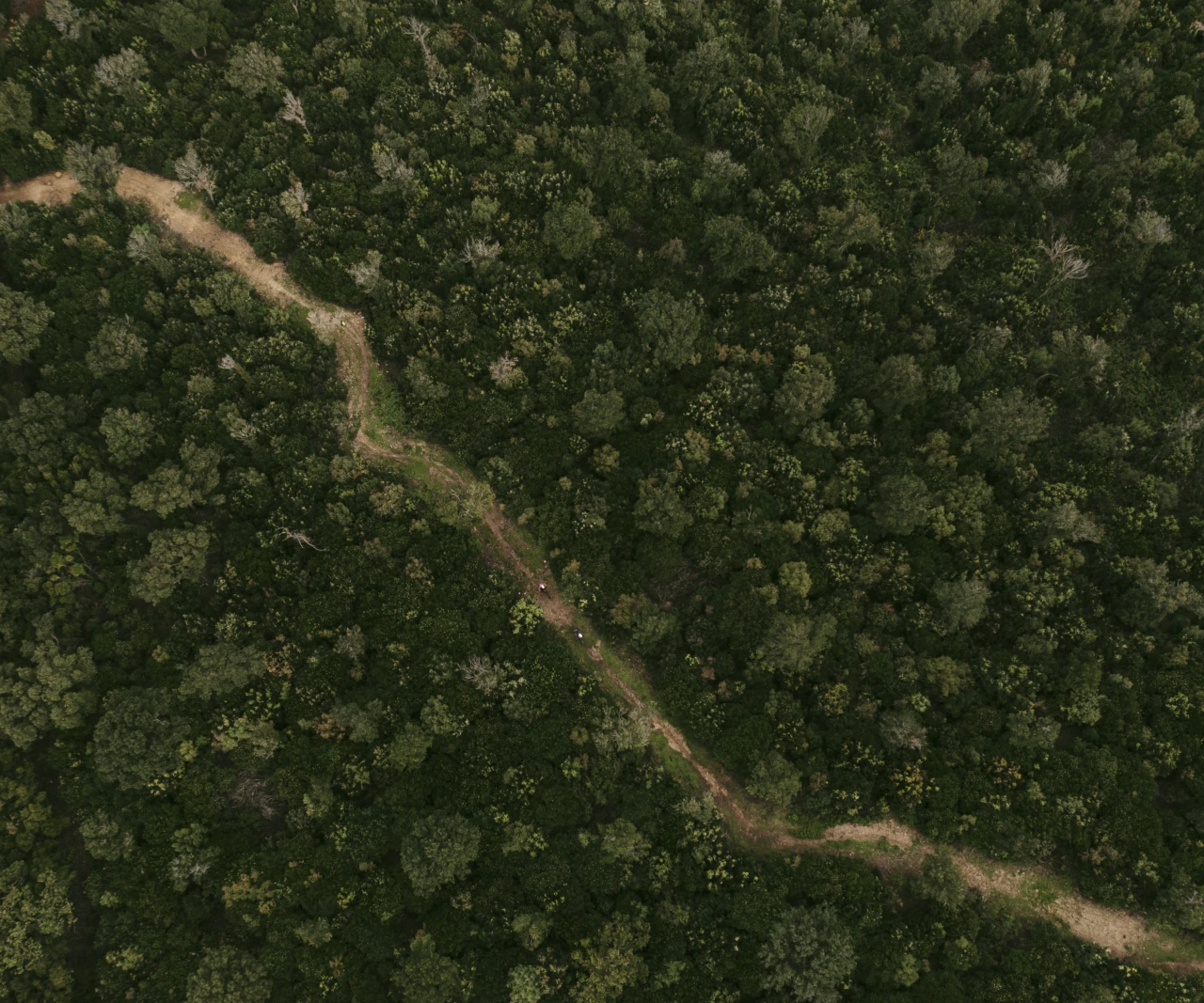 Fazua bike tuscany andreas jacob 1013