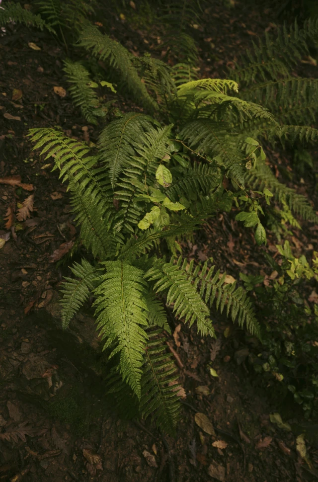 Fazua bike tuscany andreas jacob 1012