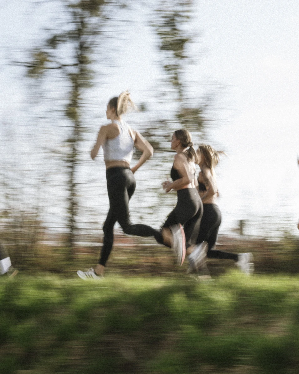 Quest sportclub fitness andreas jacob 1016