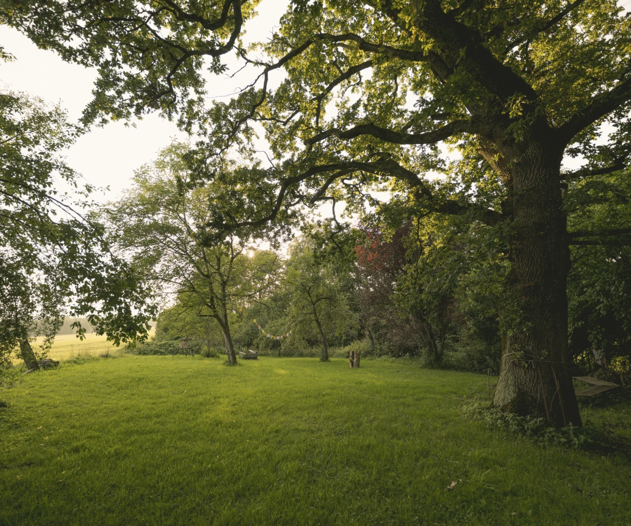 Schmied asbeck andreas jacob 1008