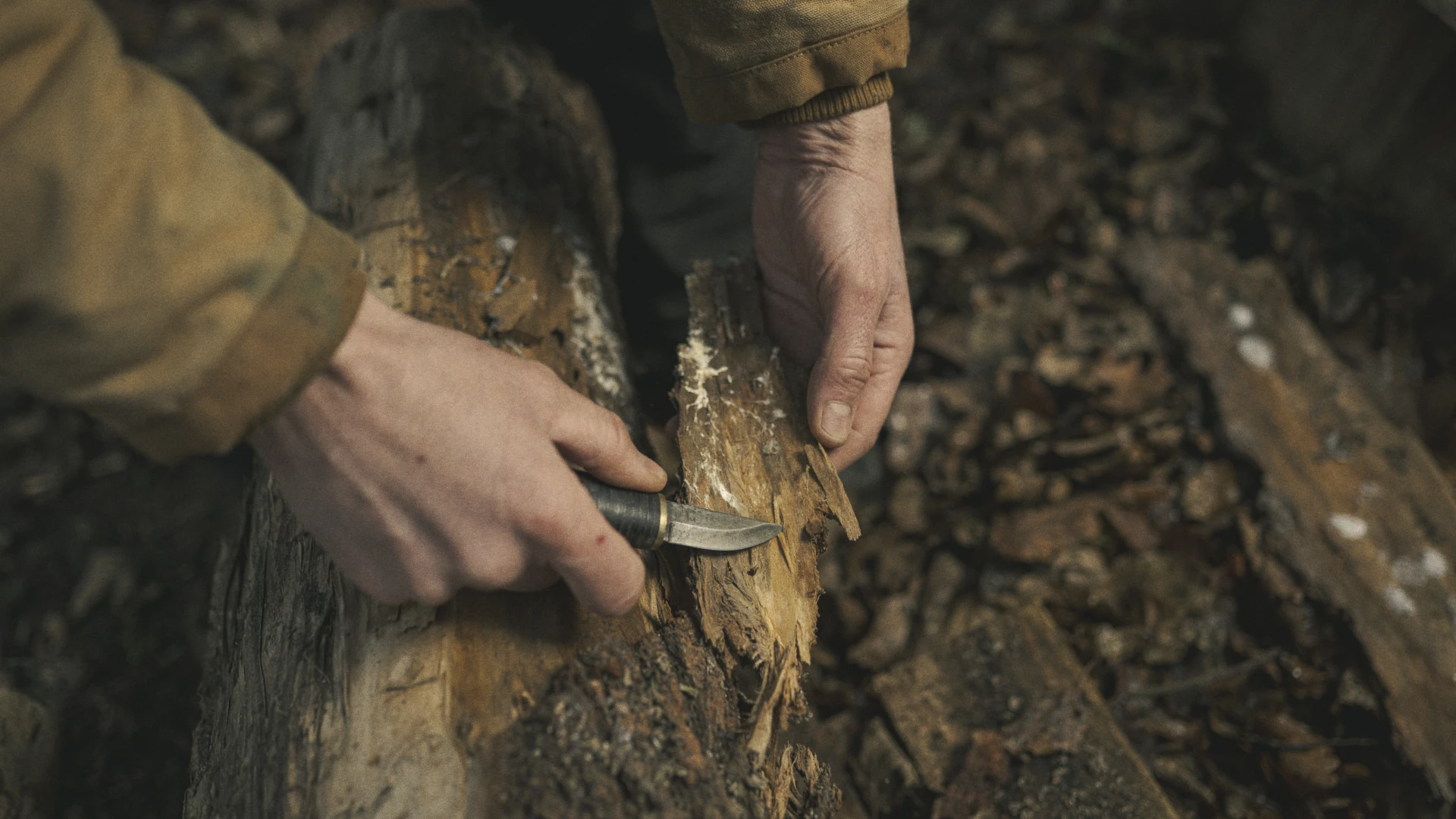 Schmied asbeck andreas jacob 1010