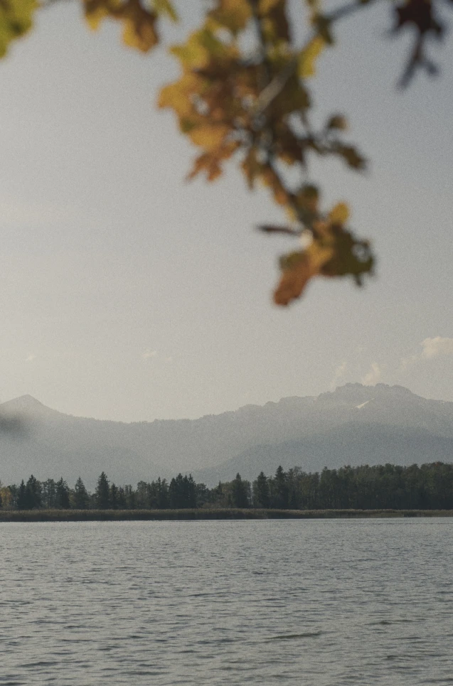 Schmied asbeck andreas jacob 1039