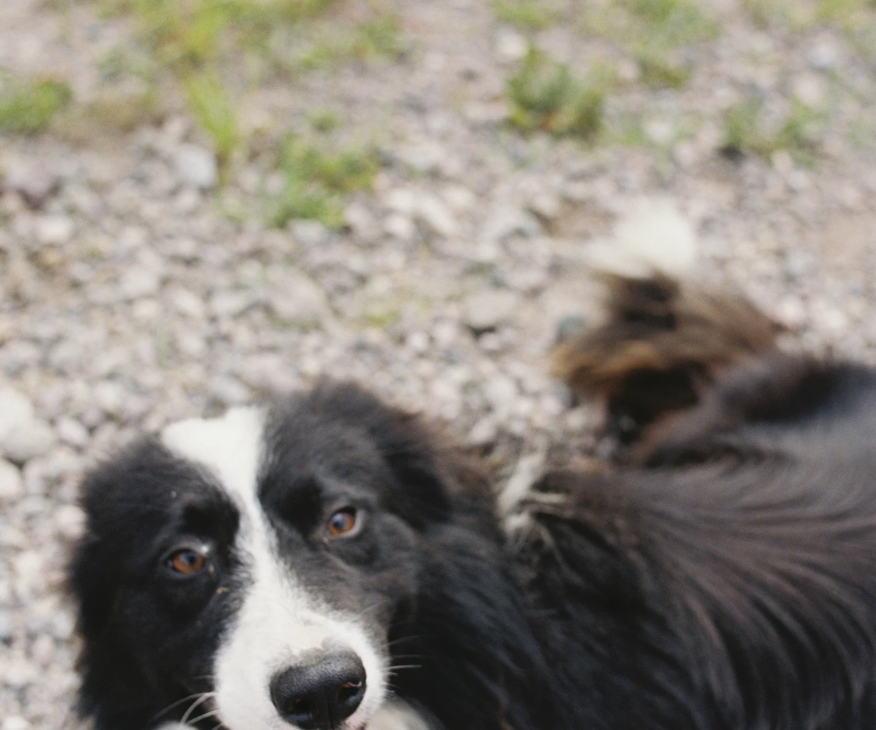 Chile gravel patagionien andreas jacob 1004