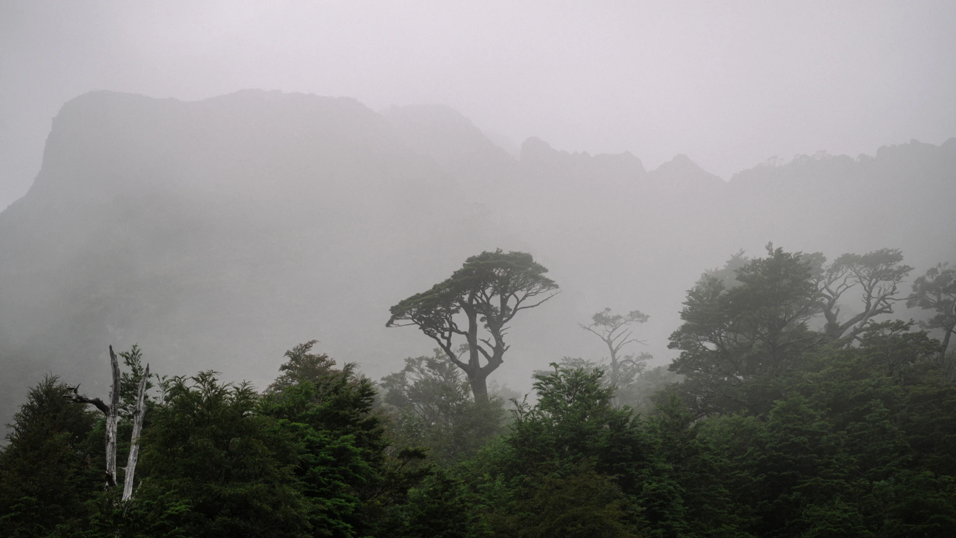 Andreas Jacob Fotografie Chile Patagonien 5