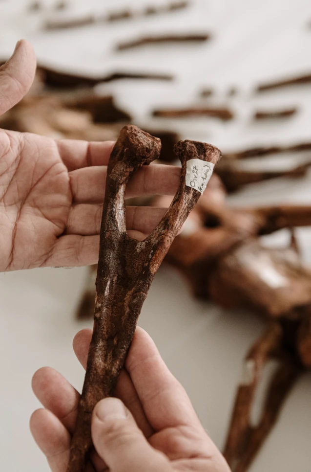 Andreas Jacob Fotografie Marokko 6