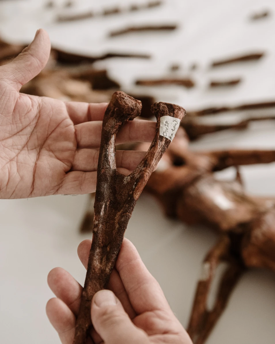 Andreas Jacob Fotografie Marokko 6